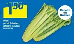 Maxi céleri offer