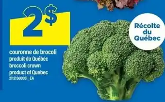 Maxi Broccoli crown offer