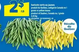 Maxi green or yellow beans offer