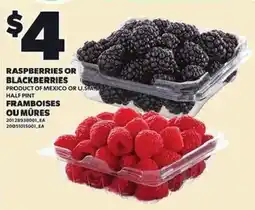 Independent Grocer Raspberries or Blackberries offer