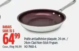 Canadian Tire Frypan offer