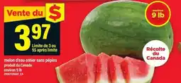 Maxi melon d'eau entier sans pépins offer