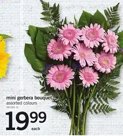 Loblaws mini gerbera bouquet offer