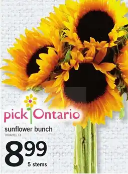 Loblaws pick ontario sunflower bunch offer