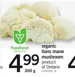 Loblaws Foodland organic lions mane mushroom offer