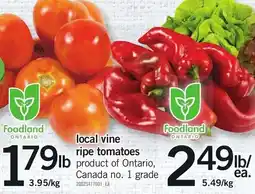 Loblaws Foodland local vine ripe tomatoes offer