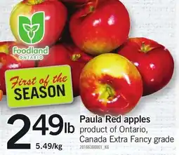 Loblaws Paula Red apples offer