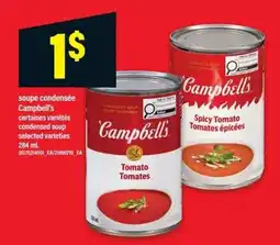 Maxi Campbell's tomato tomatoes offer