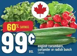 Marché Adonis english cucumbers, coriander or radish bunch offer