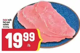 Marché Adonis Halal milk fed veal cutlets offer