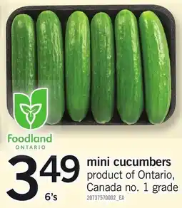 Loblaws Foodland mini cucumbers offer
