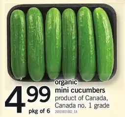 Loblaws organic mini cucumbers offer