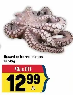 Marché Adonis thawed or frozen octopus offer