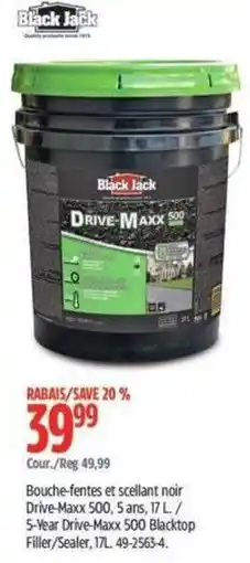Canadian Tire Black Jack Drive-Maxx 500 offer