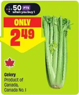 FreshCo Celery offer