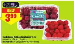 FreshCo SunGrape Candy Flavors offer