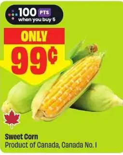 FreshCo Sweet Corn offer