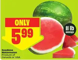 FreshCo Seedless Watermelon offer