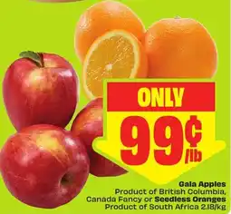 FreshCo Gala Apples offer