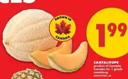No Frills Cantaloupe offer