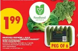 No Frills Foodland broccoli crowns or kale or farmer's market mini cucumbers offer