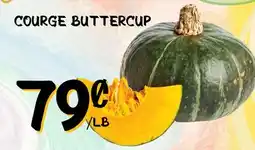 Marche Salaberry COURGE BUTTERCUP offer