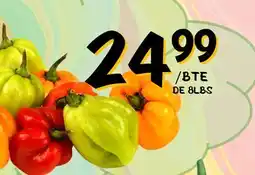 Marche Salaberry SCOTCH BONNET MIXTE offer