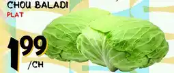 Marche Salaberry CHOU BALADI offer