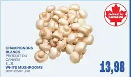 Wholesale Club CHAMPIGNONS BLANCS, 5 LB offer