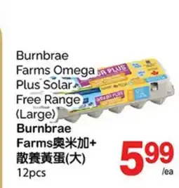 T&T Supermarket BURNBRAE FARMS OMEGA PLUS SOLAR FREE RANGE (LARGE), 12pcs offer