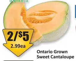 Starsky Ontario Grown Sweet Cantaloupe offer