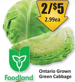 Starsky Ontario Grown Green Cabbage offer