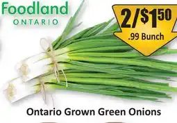 Starsky Ontario Grown Green Onions offer
