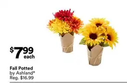 Michaels Fall Potted offer