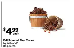 Michaels Fall Scented Pine Cones offer