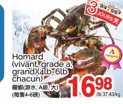 T&T Supermarket HOMARD offer