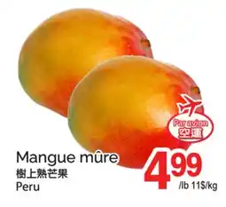 T&T Supermarket MANGUE MÛRE offer