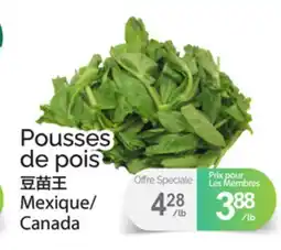 T&T Supermarket POUSSES DE POIS offer