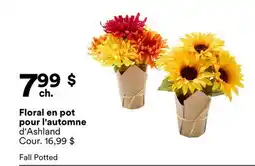 Michaels Floral en pot pour l'automne d'Ashland offer