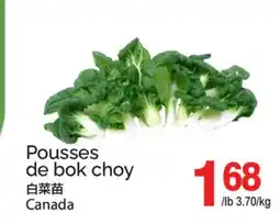 T&T Supermarket POUSSES DE BOK CHOY offer