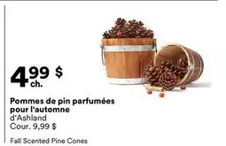 Michaels Pommes de pin parfumées pour l'automne d'Ashland offer