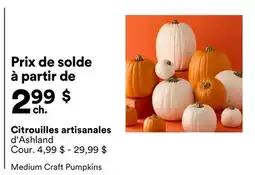 Michaels Citrouilles artisanales d'Ashland offer