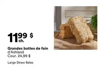 Michaels Grandes botes de foin d'Ashland offer