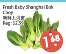 Fresh Palace Supermarket Fresh Baby Shanghai Bok Choy offer
