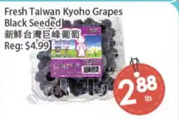 Fresh Palace Supermarket Fresh Taiwan Kyoho Grapes Black Seeded offer