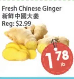Fresh Palace Supermarket Fresh Chinese Ginger offer