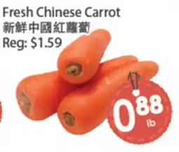 Fresh Palace Supermarket Fresh Chinese Carrot offer