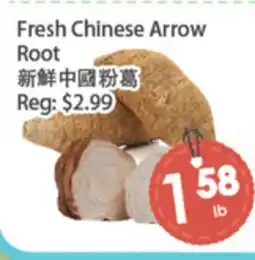 Fresh Palace Supermarket Fresh Chinese Arrow Root offer
