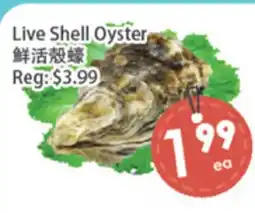 Fresh Palace Supermarket Live Shell Oyster offer