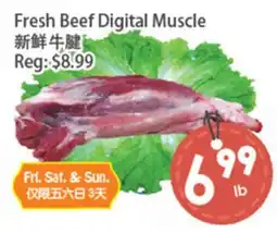 Fresh Palace Supermarket Fresh Beef Digital Muscle offer